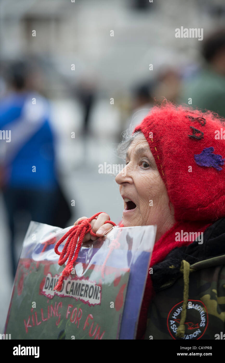 Signora anziana anti bloodsports diruttori permanente sulla street nel centro di Londra per protestare contro il Primo Ministro David Cameron e il suo coinvolgimento nel sangue sport. Foto Stock