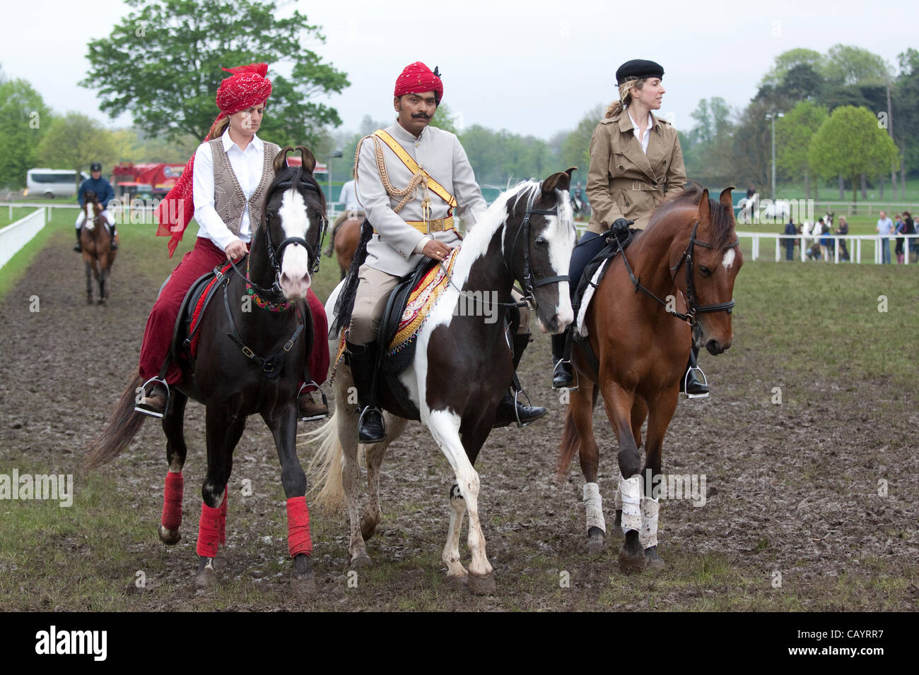 Giovedì 10 Maggio 2012. Cavalli Marwari dall'India al Royal Windsor Horse Show 2012, in occasione del diamante della regina Pageant giubilare. Windsor Park, Berkshire, Inghilterra, Regno Unito. È la prima volta che gli indigeni indiani razza Marwari, conosciuta per il suo caratteristico orecchie curvo, ha Foto Stock