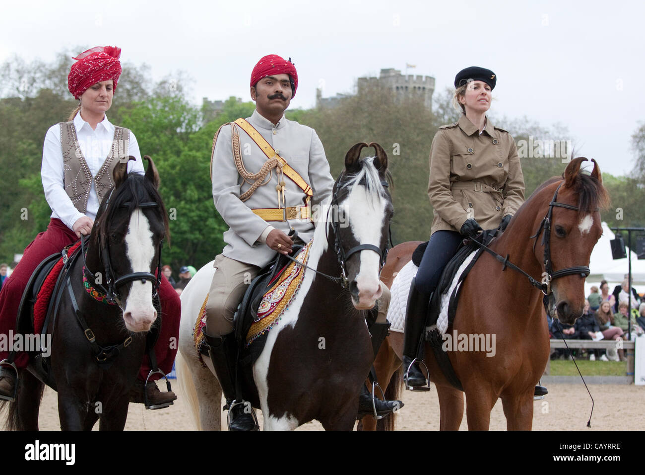 Giovedì 10 Maggio 2012. Cavalli Marwari dall India essendo dispalyed presso il Royal Windsor Horse Show 2012, in occasione del diamante della regina Pageant giubilare. Windsor Park, Berkshire, Inghilterra, Regno Unito. È la prima volta che gli indigeni indiani razza Marwari, conosciuta per il suo caratteristico orecchie curvo, Foto Stock