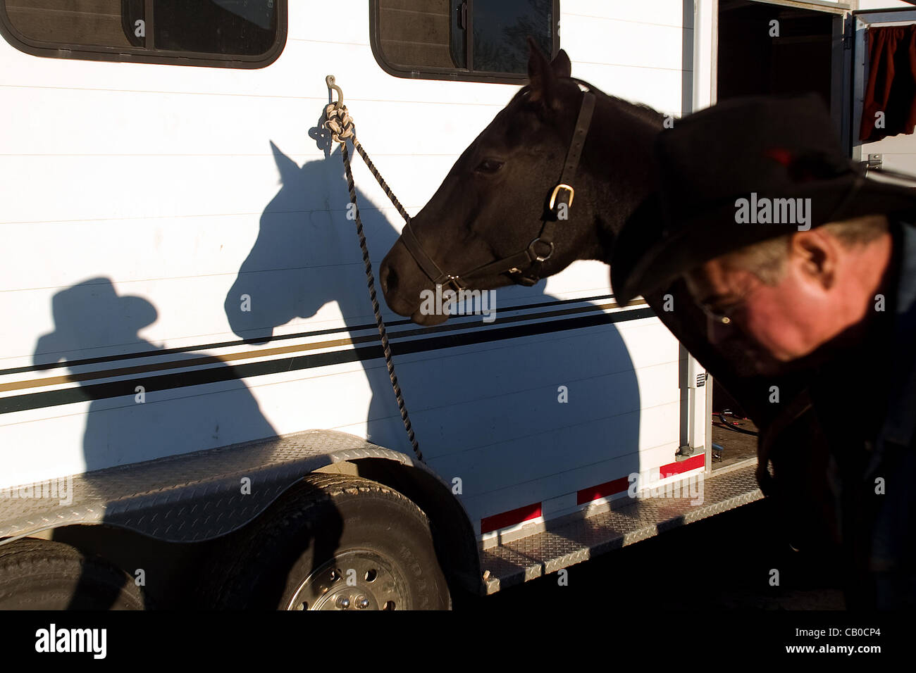 Lobo Ontario, Canada - 2 ottobre 2010. Un cowboy urbano inizia a virare il suo cavallo di incollamento è il processo di vestire il cavallo con la sella da cavallo, briglia e redini necessari per l'equitazione. Team Penning è una competizione in cui le squadre di piloti provare a corral vacche in una holding pen. Il tempo è mantenuta e la squadra con Foto Stock