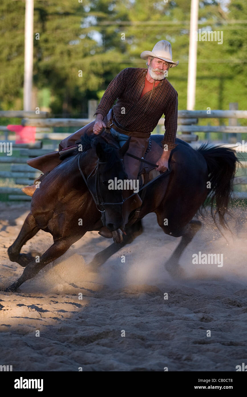 Lobo Ontario, Canada - Luglio 5, 2010. Un concorrente fa un giro stretto con il suo cavallo. Team Penning è una competizione in cui le squadre di piloti provare a corral vacche in una holding pen. Il tempo è mantenuta e la squadra con il tempo più basso nel corso della competizione vince. Foto Stock