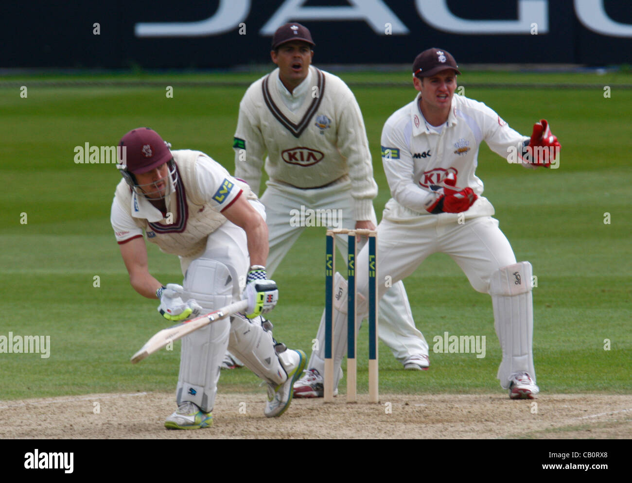 16.05.12 Kia ovale, Londra, Inghilterra: Arul Suppiah del Somerset durante il Surrey vs Somerset fixture ha suonato presso la Kia ovale. Foto Stock