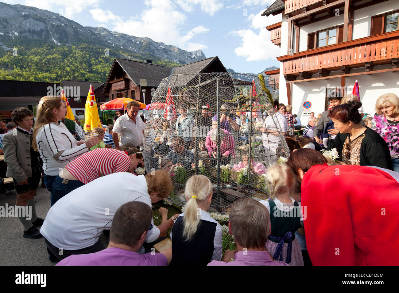 I turisti e la gente del posto e i giovani e i vecchi, lavorano insieme per decorare le sculture di filo con narciso e per fare in modo che siano pronti per la parata del 53 Festival di narciso, Grundlsee, Ausseerland, Stiria, Austria, Sabato 19 Maggio, 2012. Foto Stock