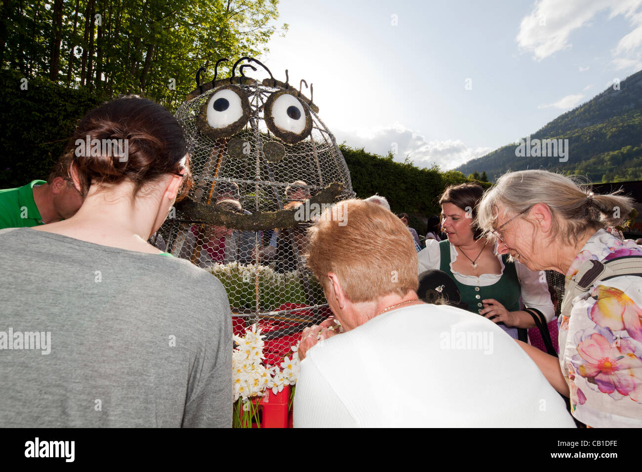 I turisti e la gente del posto e i giovani e i vecchi, lavorano insieme per decorare le sculture di filo con narciso e per fare in modo che siano pronti per la parata del 53 Festival di narciso, Grundlsee, Ausseerland, Stiria, Austria, Sabato 19 Maggio, 2012. Foto Stock