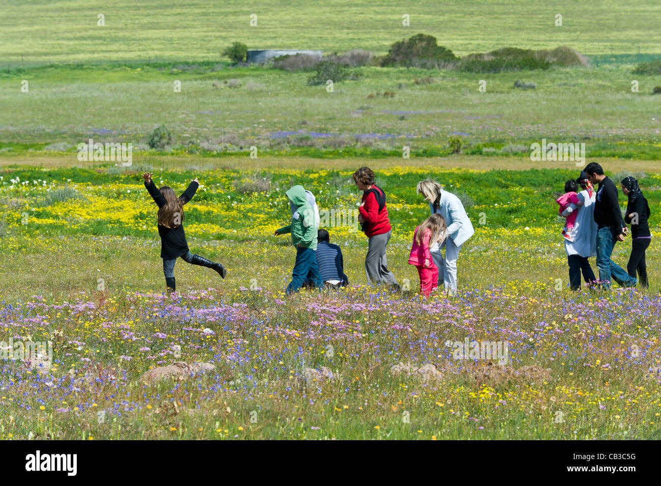 Famiglia escursioni in Tinie Versfeld selvaggio fiore Reserve Western Cape Sud Africa Foto Stock