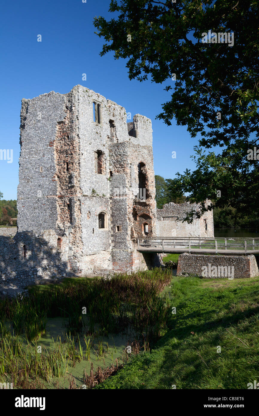 Rovine del Castello Baconsthorpe, Norfolk Foto Stock