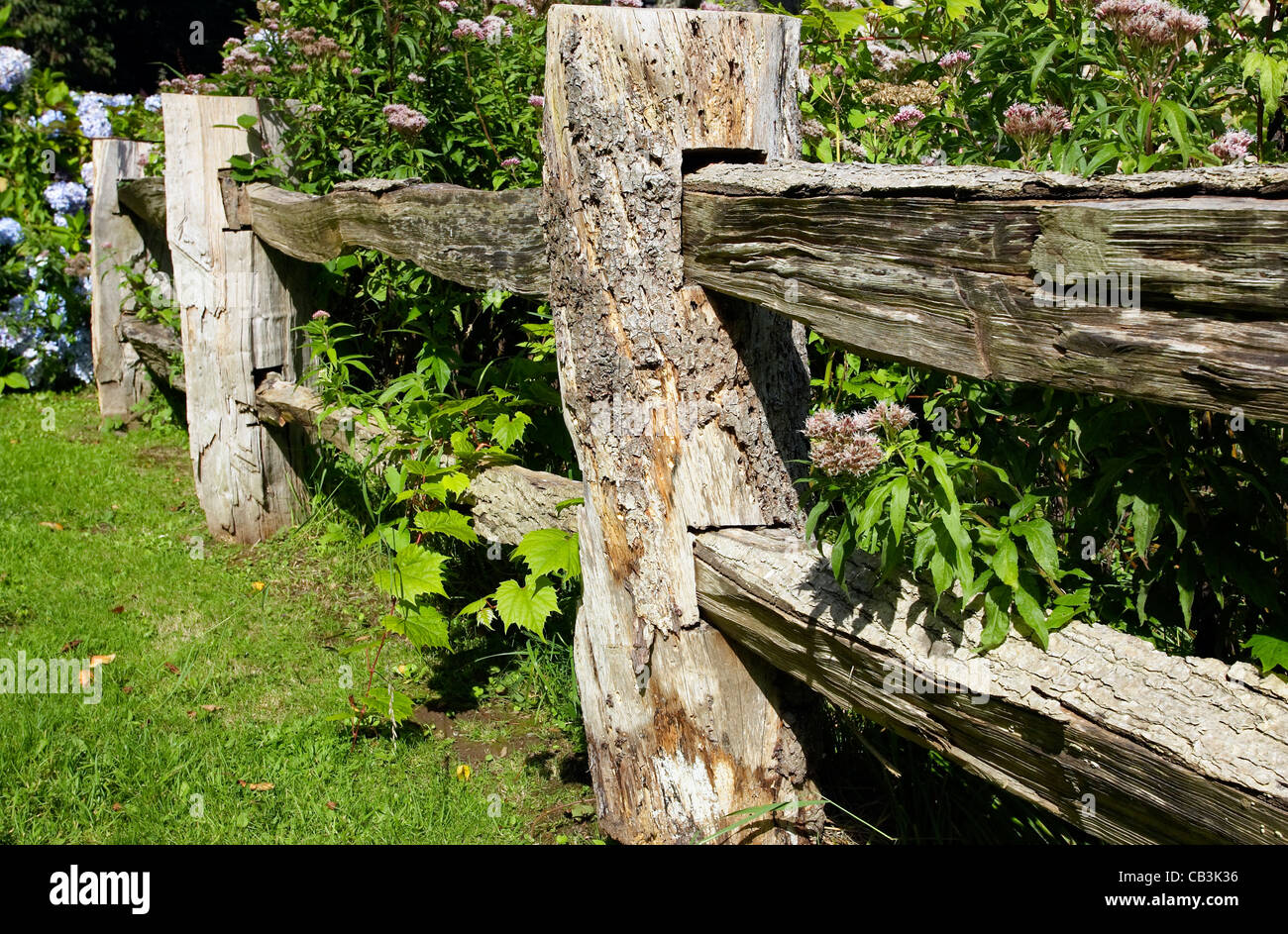 Una ruvida scavata, rustica staccionata in legno realizzato da circa log  tagliati Foto stock - Alamy