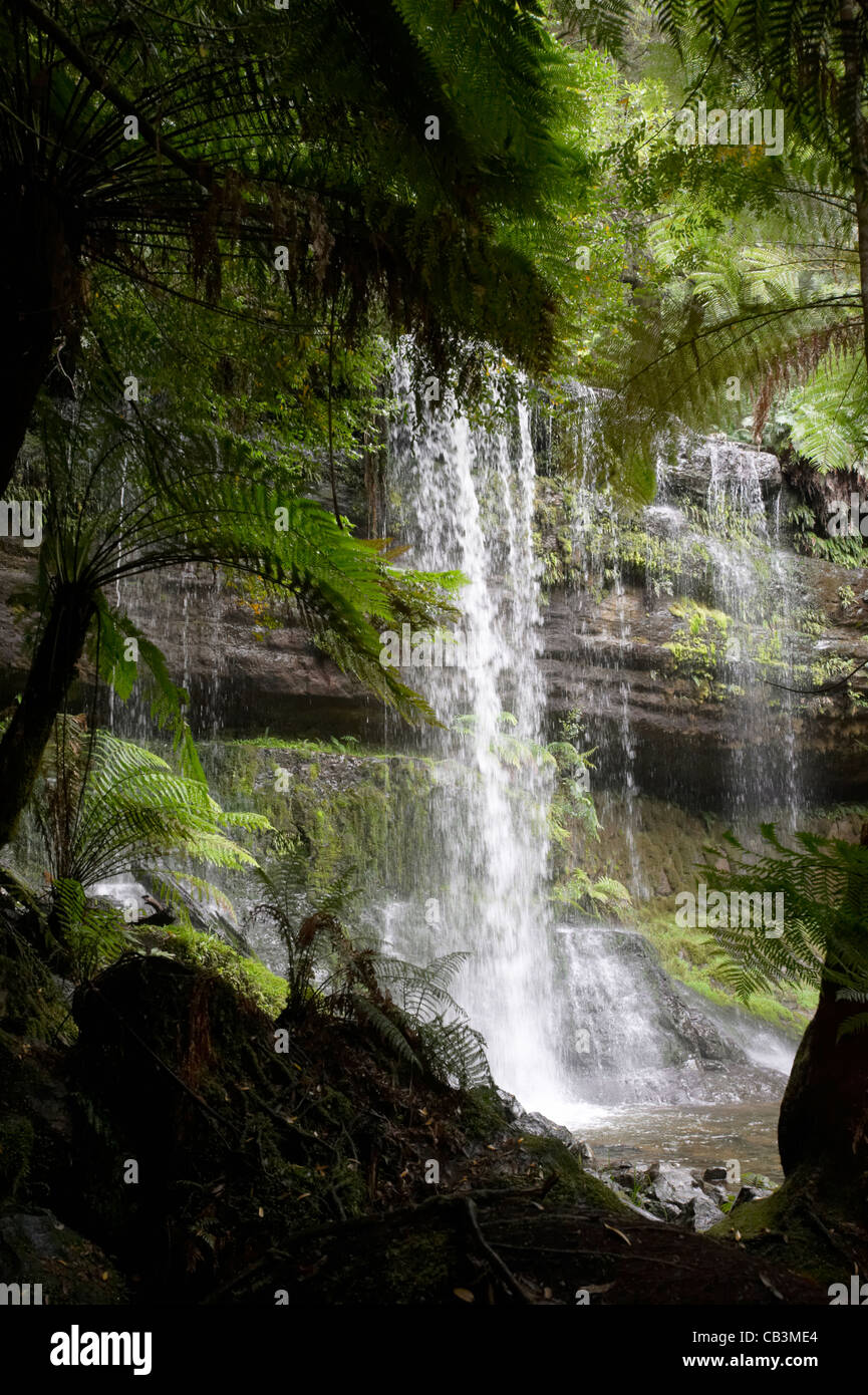 Cascate Russell, Monte campo Parco Nazionale, Tasmania, Australia Foto Stock