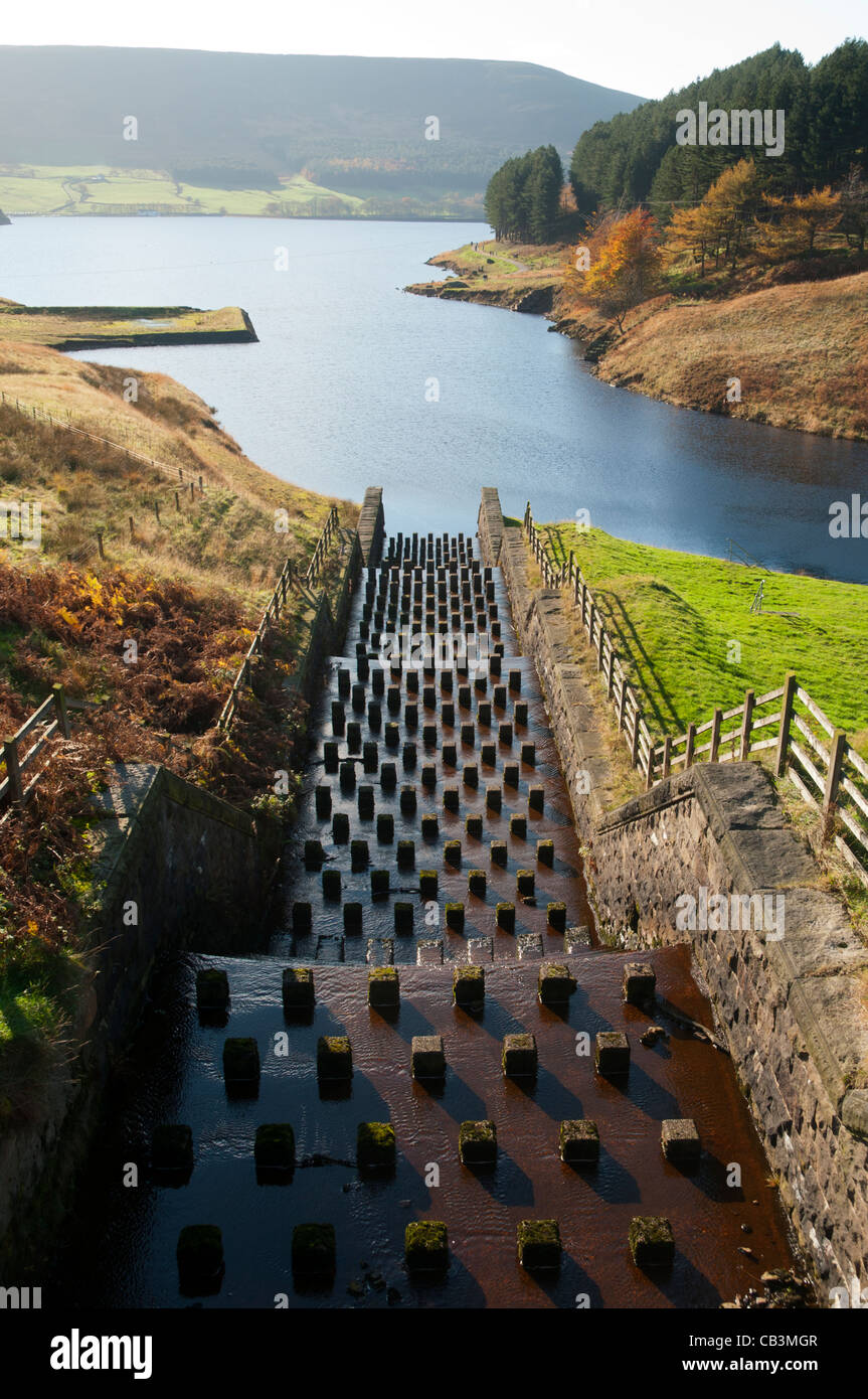 Colomba Stone Reservoir, Saddleworth, Oldham, Greater Manchester, Inghilterra, Regno Unito. Pietre di Wimberry che si eronano dietro. Foto Stock