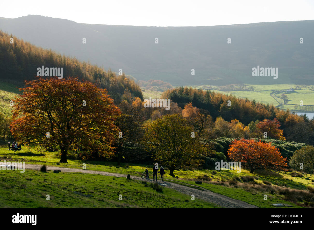 Colori autunnali a dove Stone Reservoir, Saddleworth, Oldham, Greater Manchester, Inghilterra, Regno Unito. Pietre di Wimberry che si eronano dietro. Foto Stock