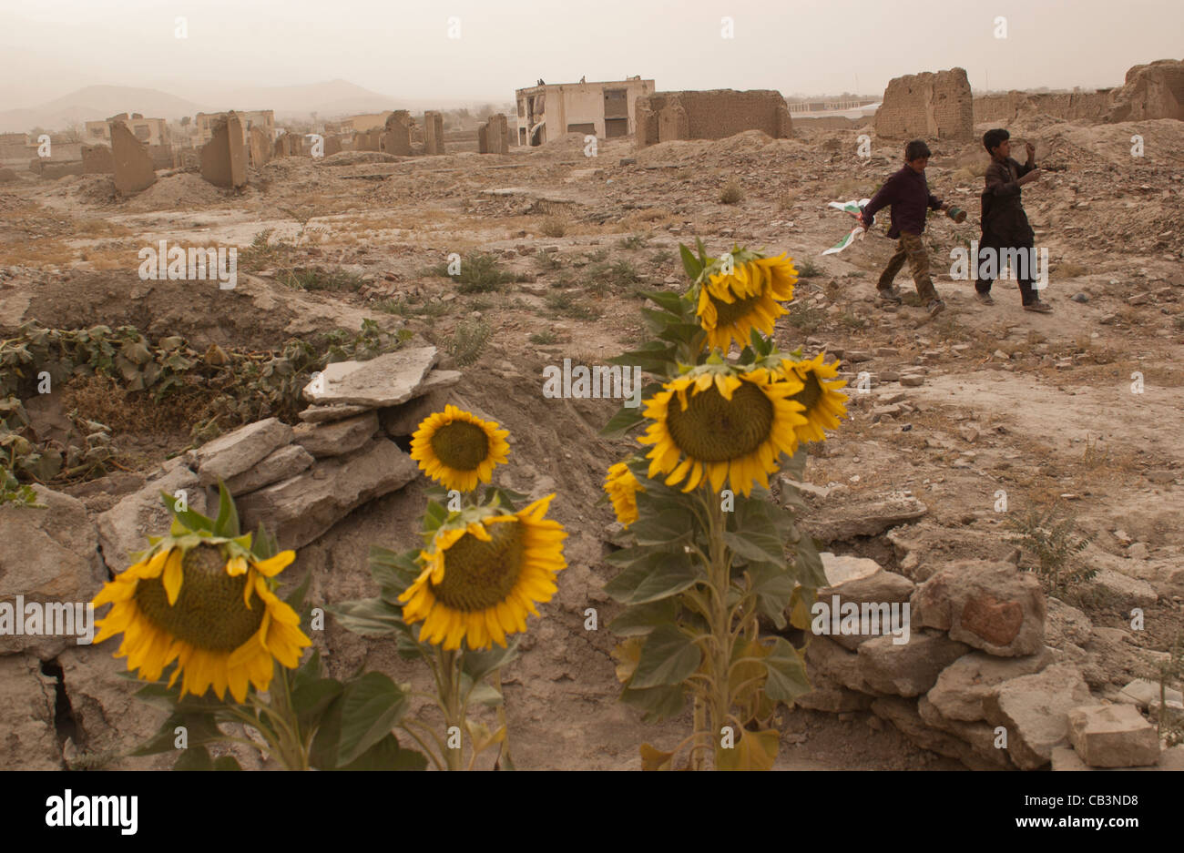 Ragazzi a piedi attraverso la distruzione nei pressi di Darul Aman Palace a ovest di Kabul, Afghanistan, Ottobre 2004 Foto Stock