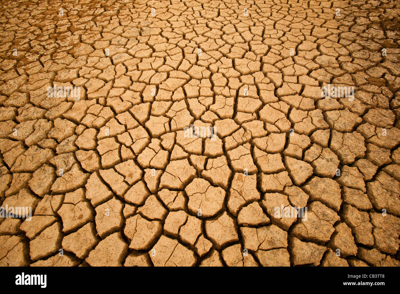 Suolo incrinato in Sarigua National Park (deserto) nella provincia di Herrera, Repubblica di Panama. Foto Stock