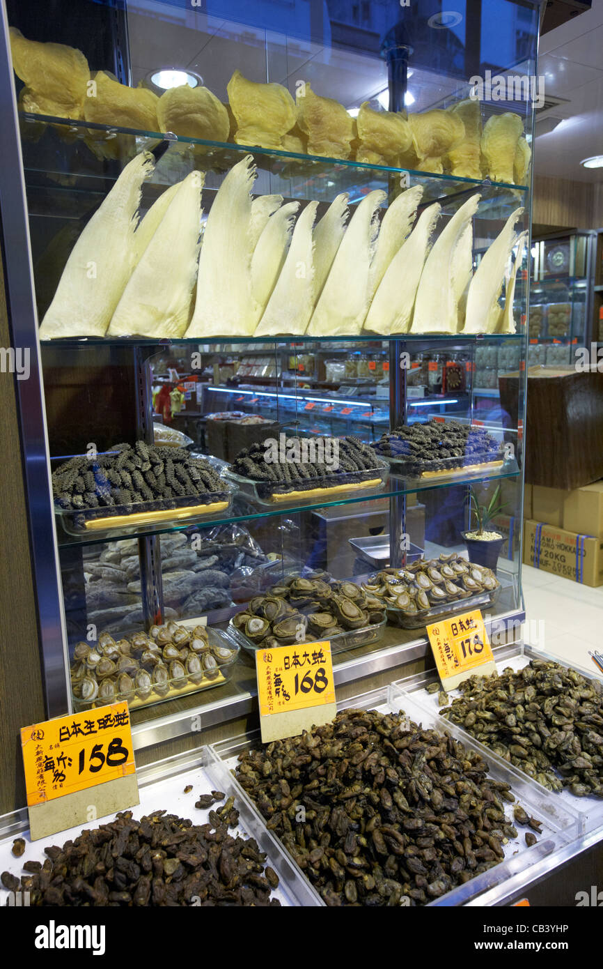 Essiccato pinne di squalo abalone pesce maw cetrioli di mare e le ostriche  in un negozio di frutti di mare su Sheung Wan pesce essiccato sulla Strada  des voeux Foto stock -