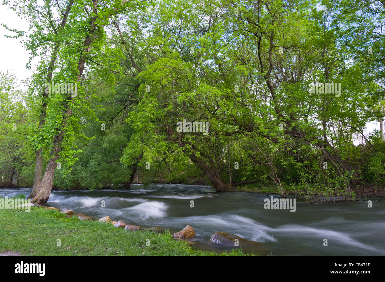 Lungo le rive del torrente minnehaha in minnehaha park di Minneapolis Minnesota Foto Stock