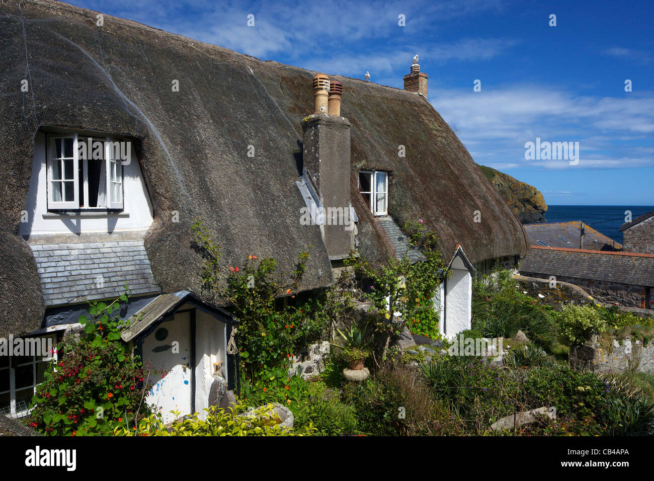 Cottage con il tetto di paglia a Cadgwith, penisola di Lizard, Cornwall,South West England, UK, Regno Unito, GB Gran Bretagna, Foto Stock
