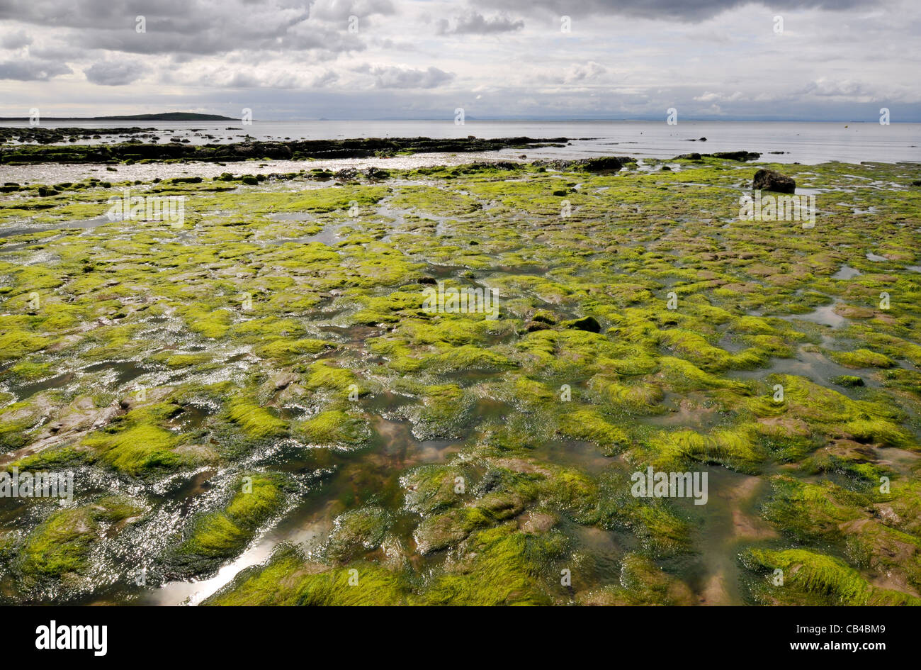 La spiaggia di Lower Largo in Fife, Scozia Foto Stock