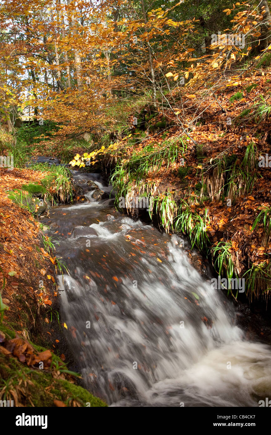 Un flusso di alimentazione del fiume North Esk che scorre verso il basso Glen Esk durante l'autunno in Scozia Foto Stock