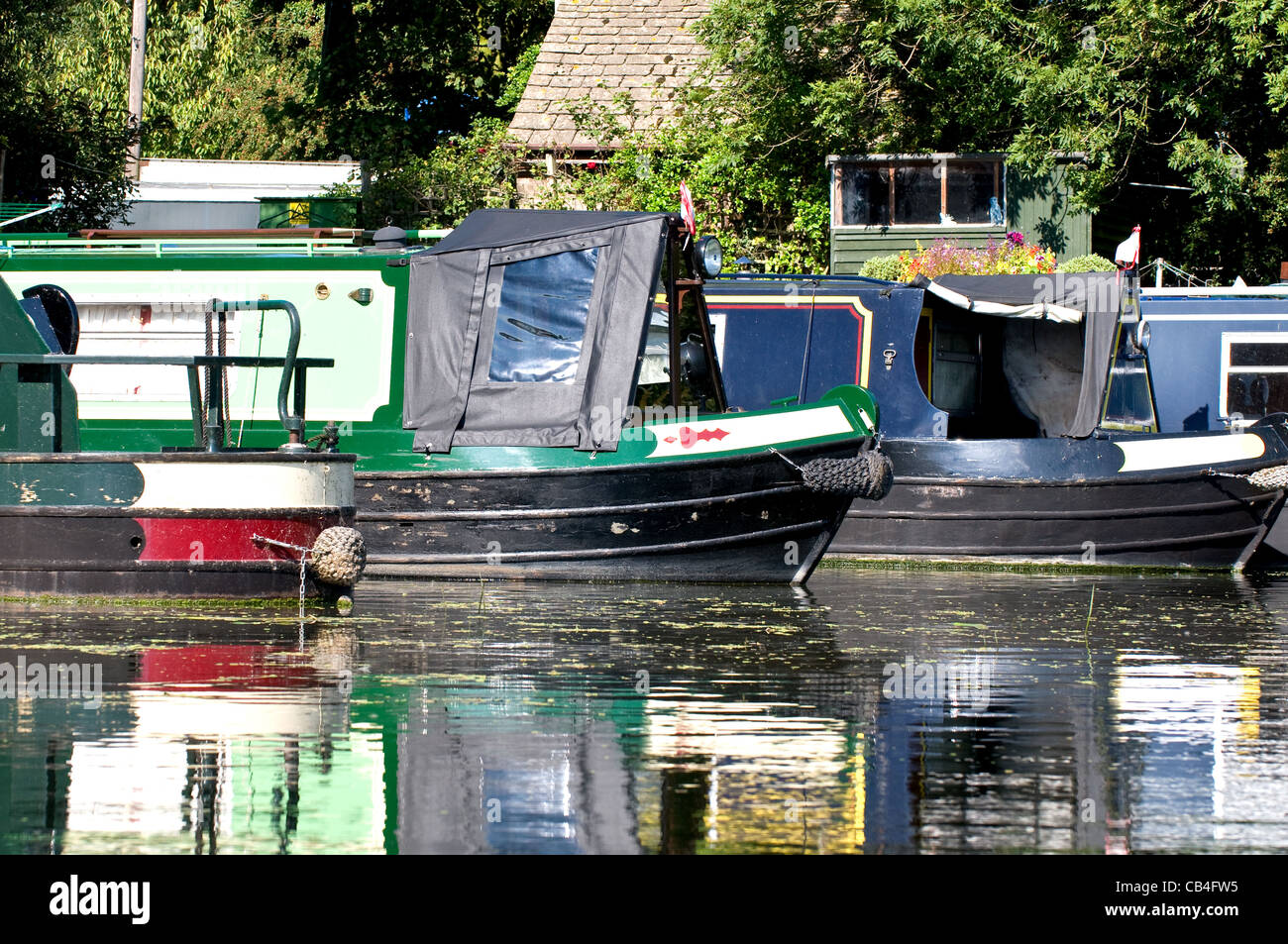 Quattro narrowboats ormeggiata in un porto turistico sul fiume Nene. La messa a fuoco è sulla prua e poppe di ogni imbarcazione. Foto Stock