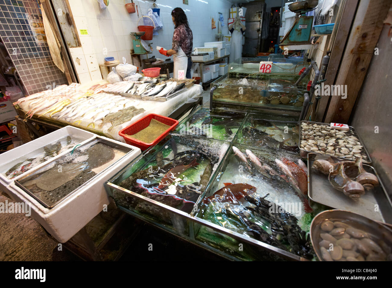 Pesce fresco e frutti di mare in cisterne su un mercato in stallo kowloon hong kong cina Foto Stock