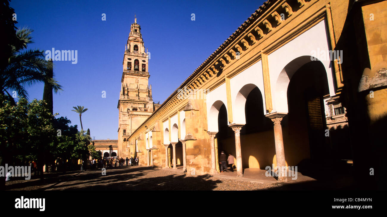 Torre minareto della Grande Moschea, dal Patio de los Naranjos, Cordoba, Andalusia, Spagna. Foto Stock