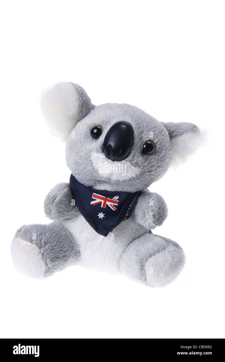 Koala di peluche Foto Stock