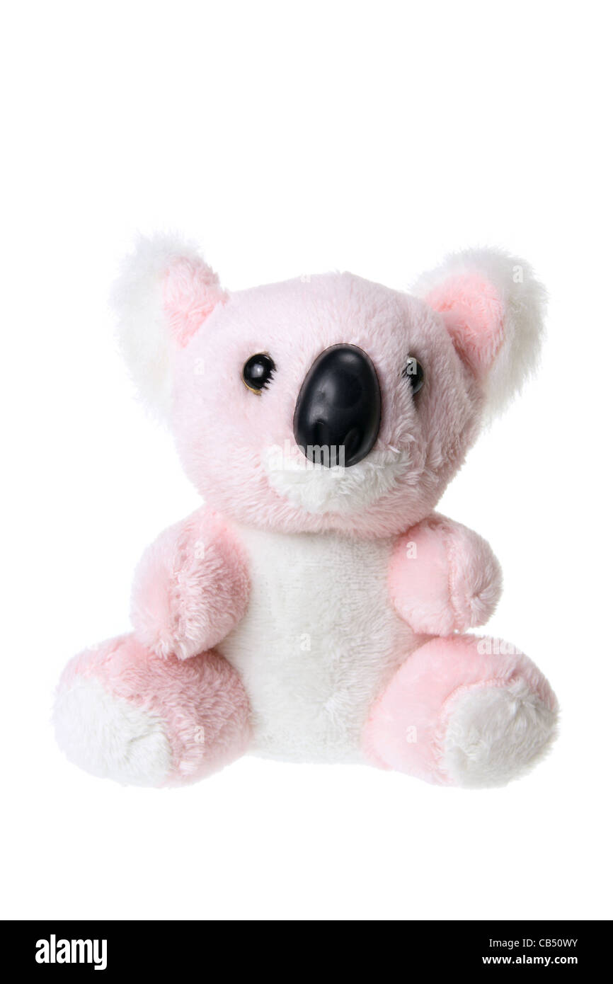 Koala di peluche Foto Stock