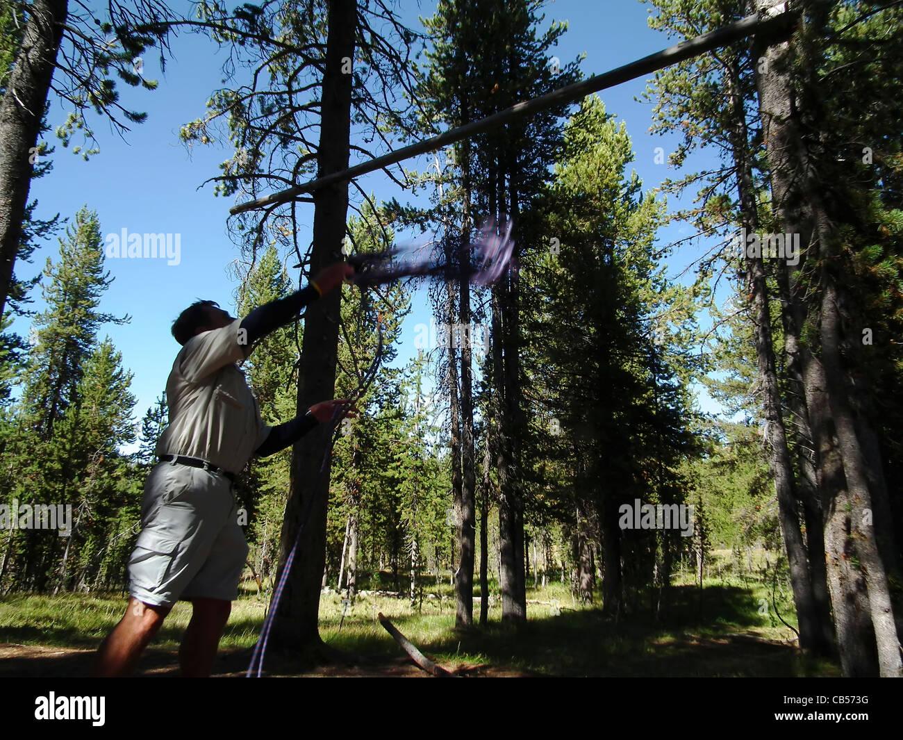 Mike Vining appeso zaini il Parco Nazionale di Yellowstone Wyoming USA Foto Stock