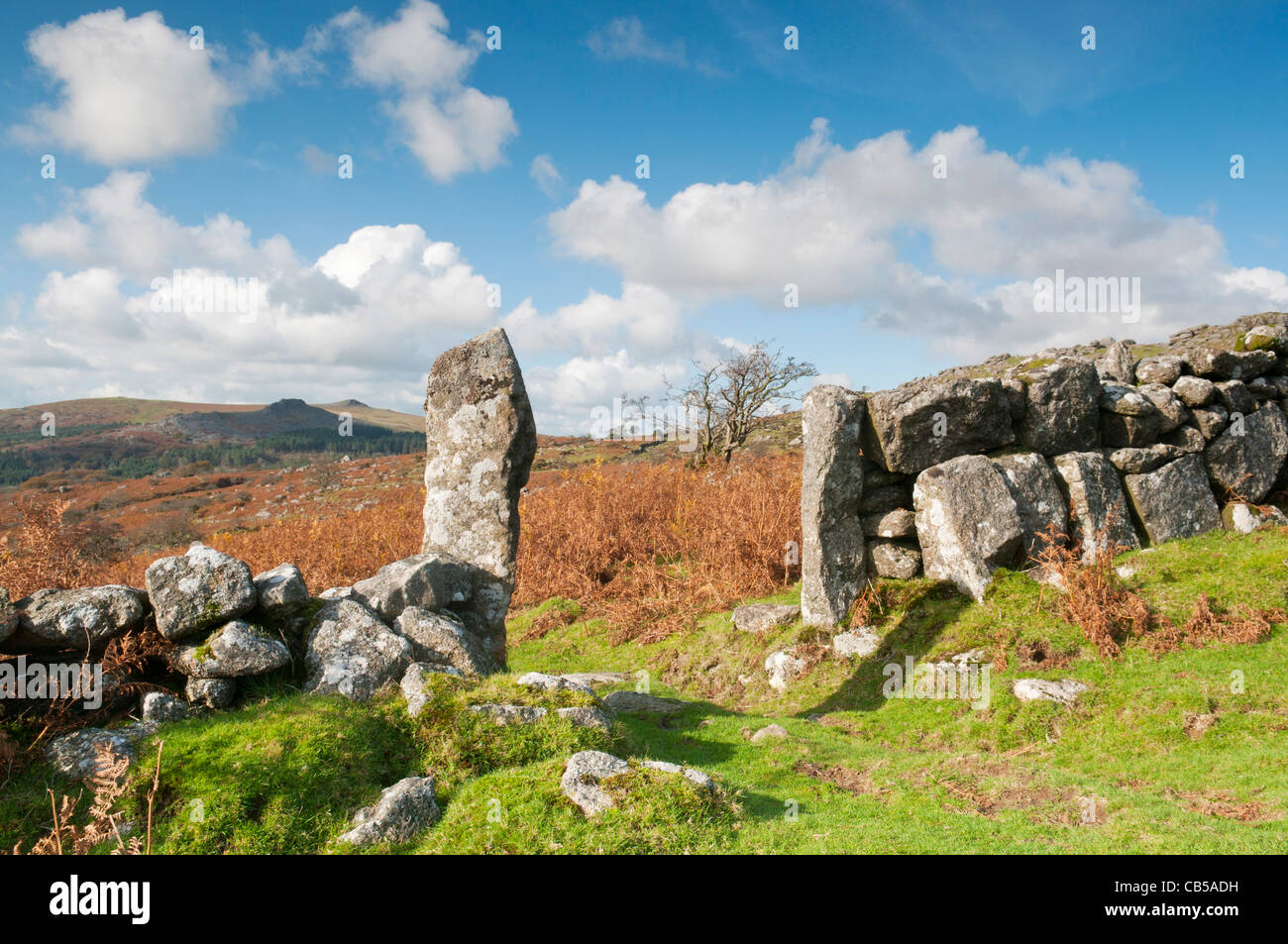 Pilastri di granito nel vecchio muro di pietra a Dartmoor, con tori dietro, Devon, Regno Unito Foto Stock