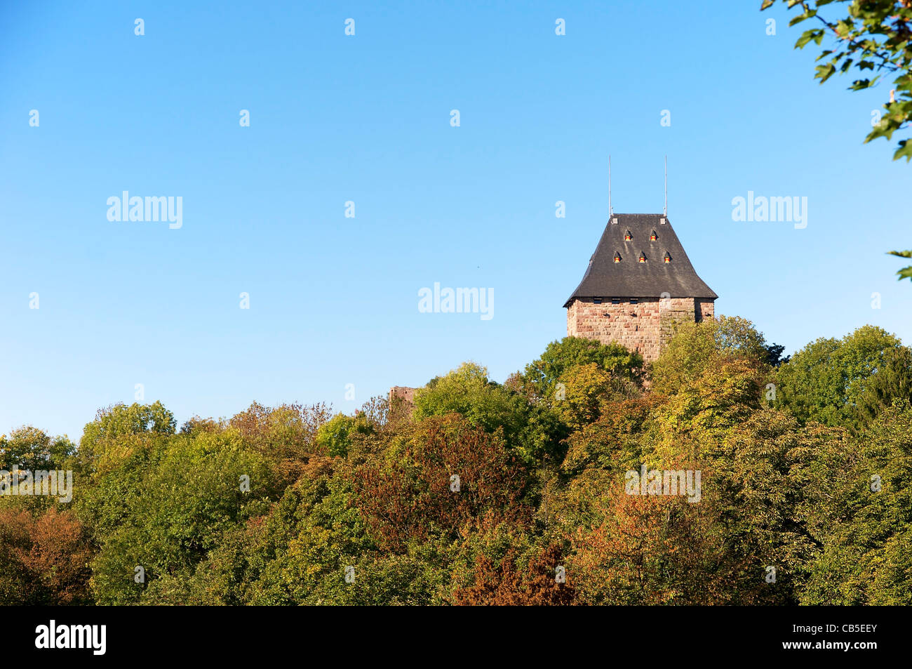 Tenere la parte restaurata Nideggen castello (Burg Nideggen) Guardando sopra la valle del fiume Rur nella regione Eifel. Foto Stock