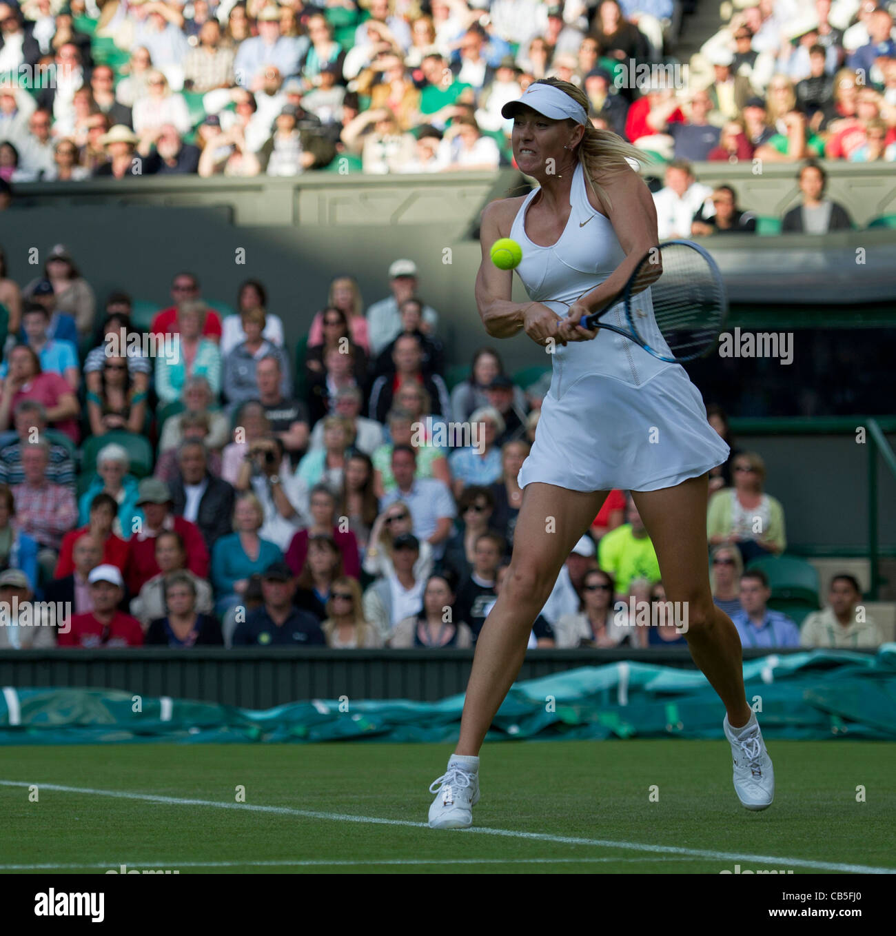 21.06.2011. Anna Chakvetadze v Maria Sharapova. Maria ha vinto 62,61. Maria in azione. Il torneo di Wimbledon Tennis campionati. Foto Stock