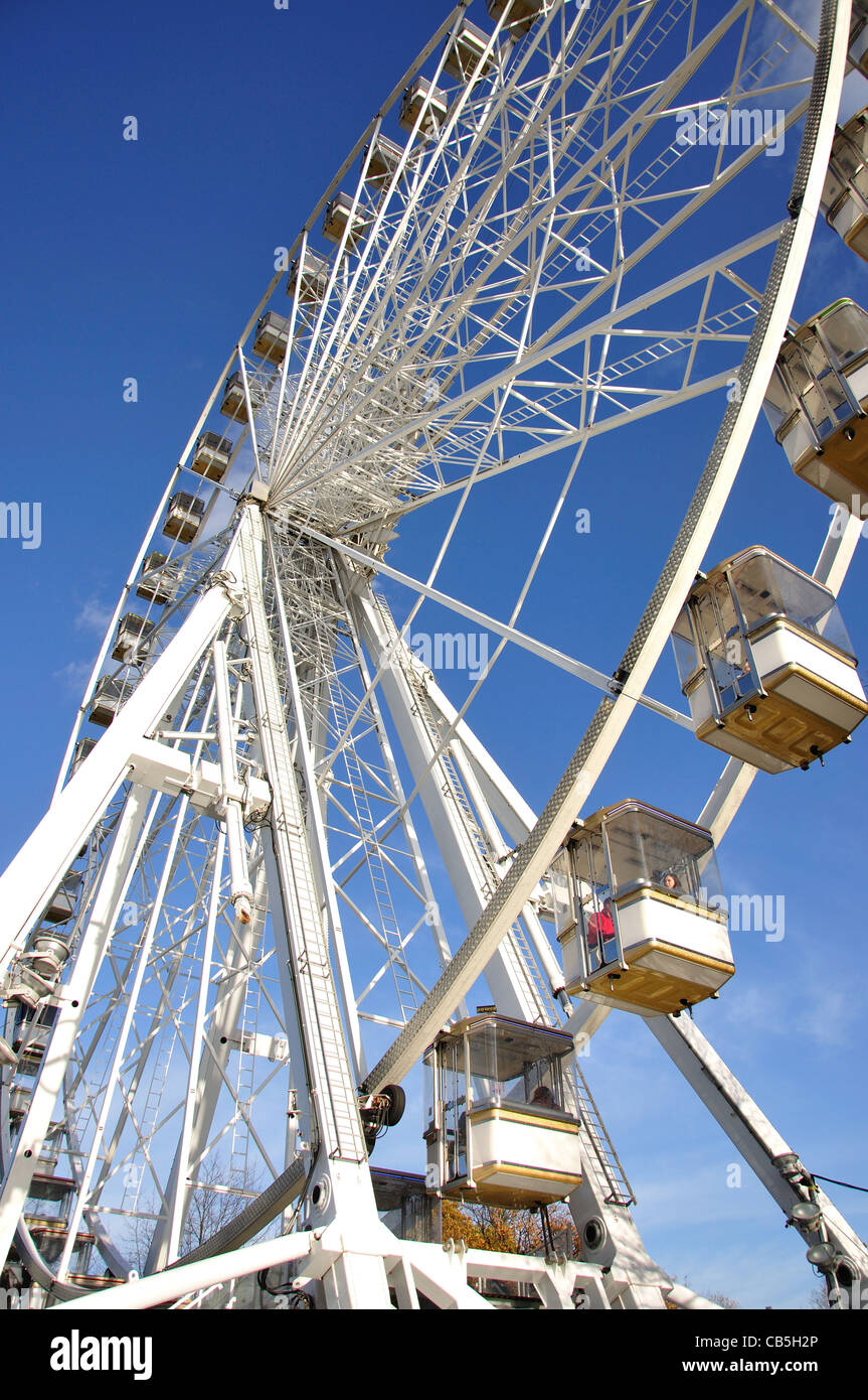 Gigantesca Ruota Panoramica a 'invernali' Hyde Park, City of Westminster, London, Greater London, England, Regno Unito Foto Stock