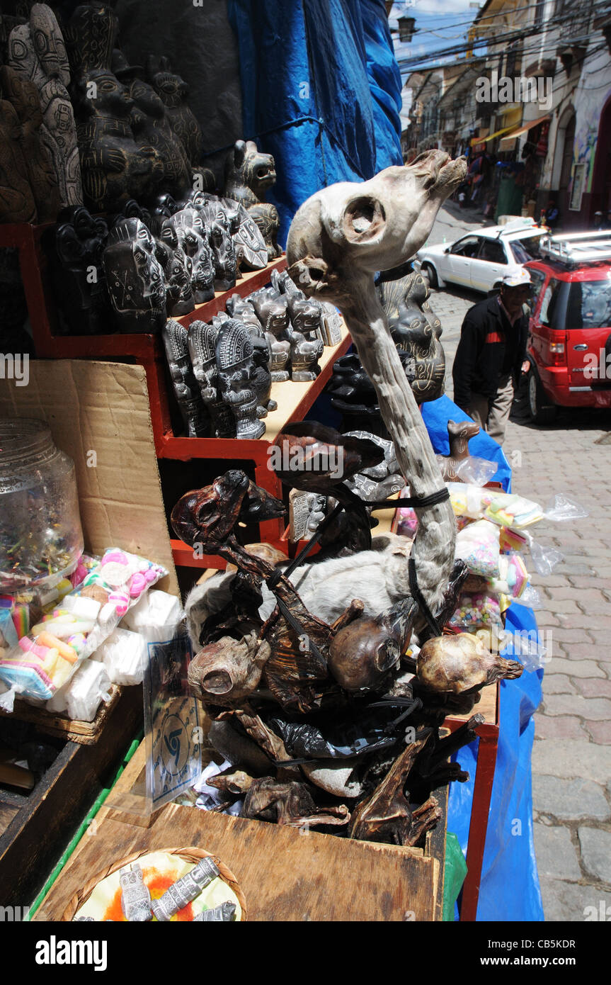 Llame morto feto per la vendita nel mercato delle streghe, La Paz, Bolivia Foto Stock