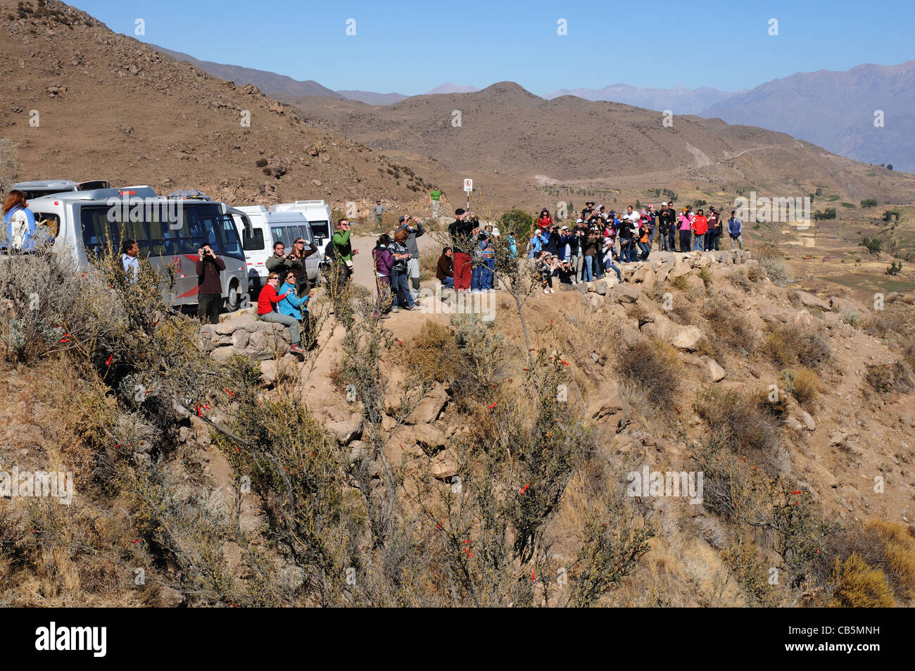 Le persone schierate guardando condor a Cruz del Condor, Canyon del Colca, Perù Foto Stock