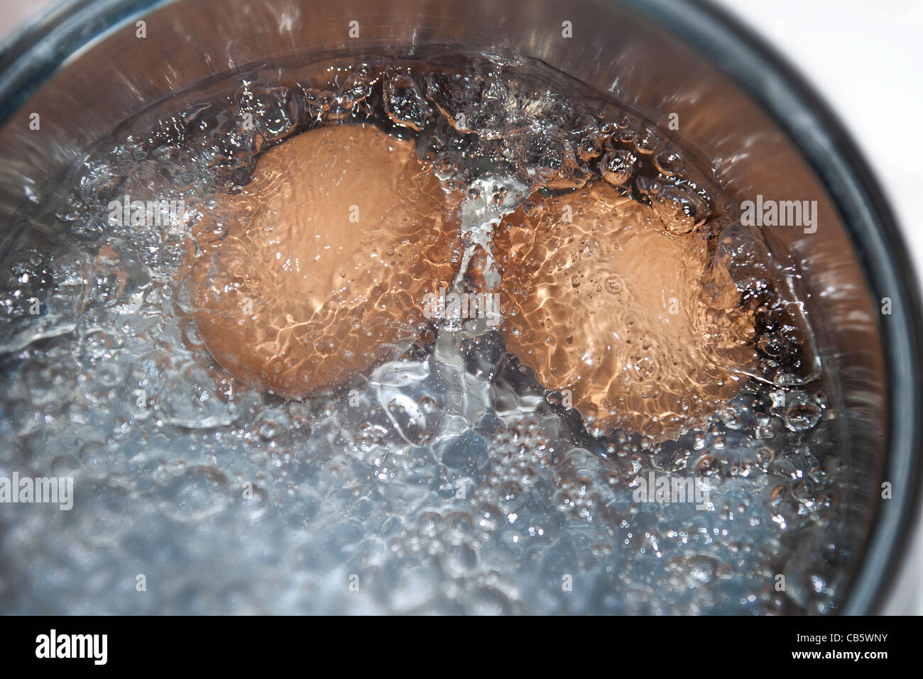 Dettaglio del marrone due uova di galline ebollizione in una pentola di acqua Foto Stock