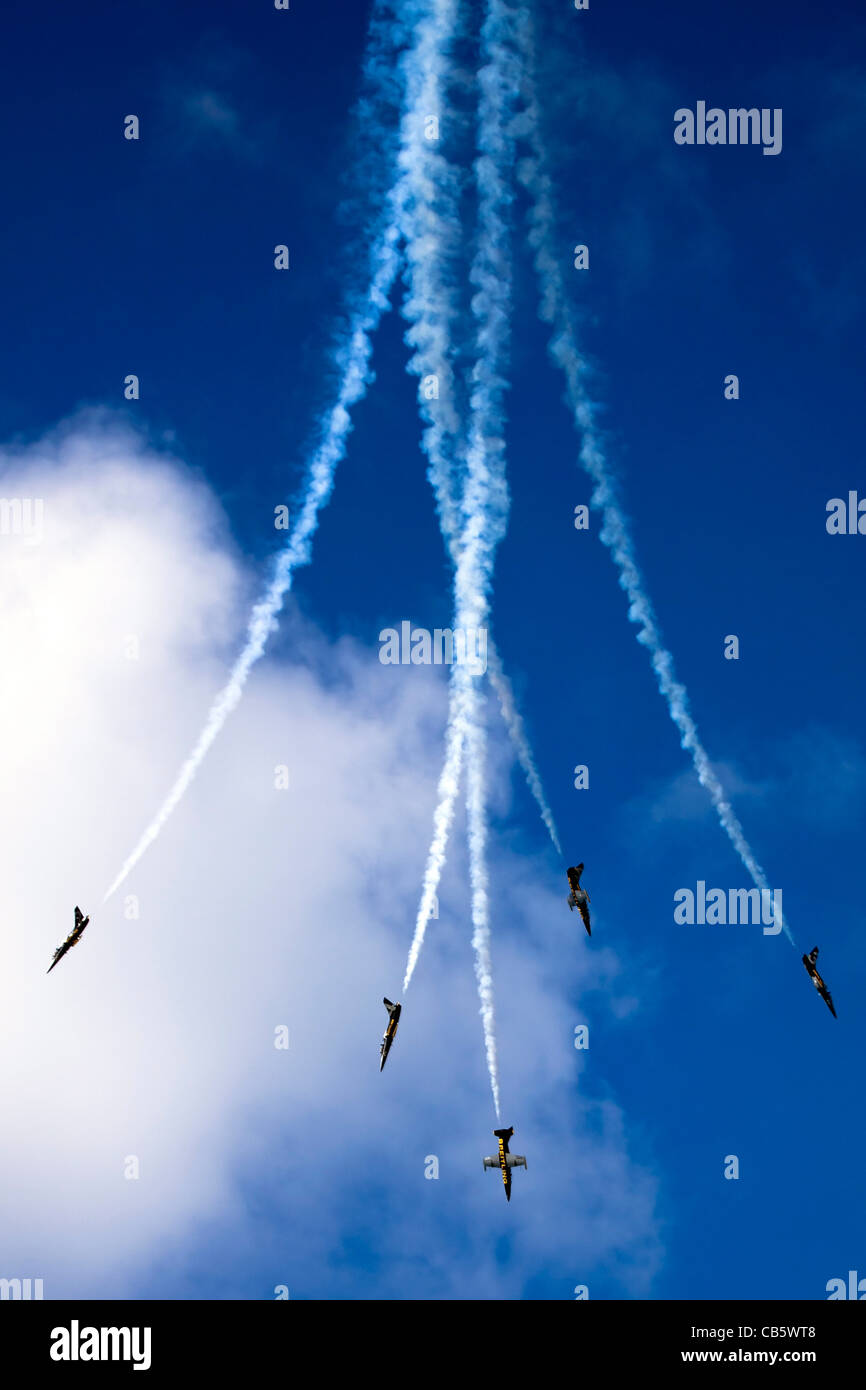 Aria Breitling team display L-39 Albatross Foto Stock