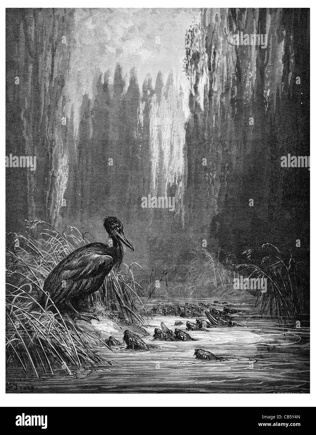 Les Poissons et le Cormaran cormorano pesce stagno pesca predatore preda del flusso del fiume cena boschi della Foresta woodland Foto Stock
