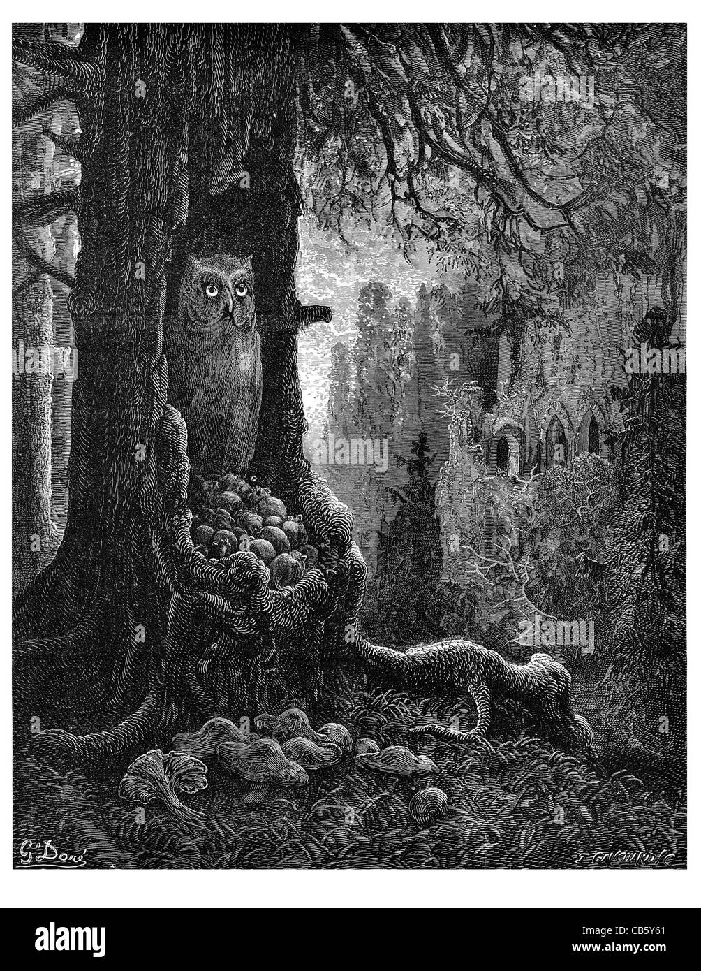 I topi e il gatto-tormentare owl nest tronco di albero boschi della Foresta resti la rovina di notte oscura di ratto topo roditore fungo fauna selvaggia natura Foto Stock