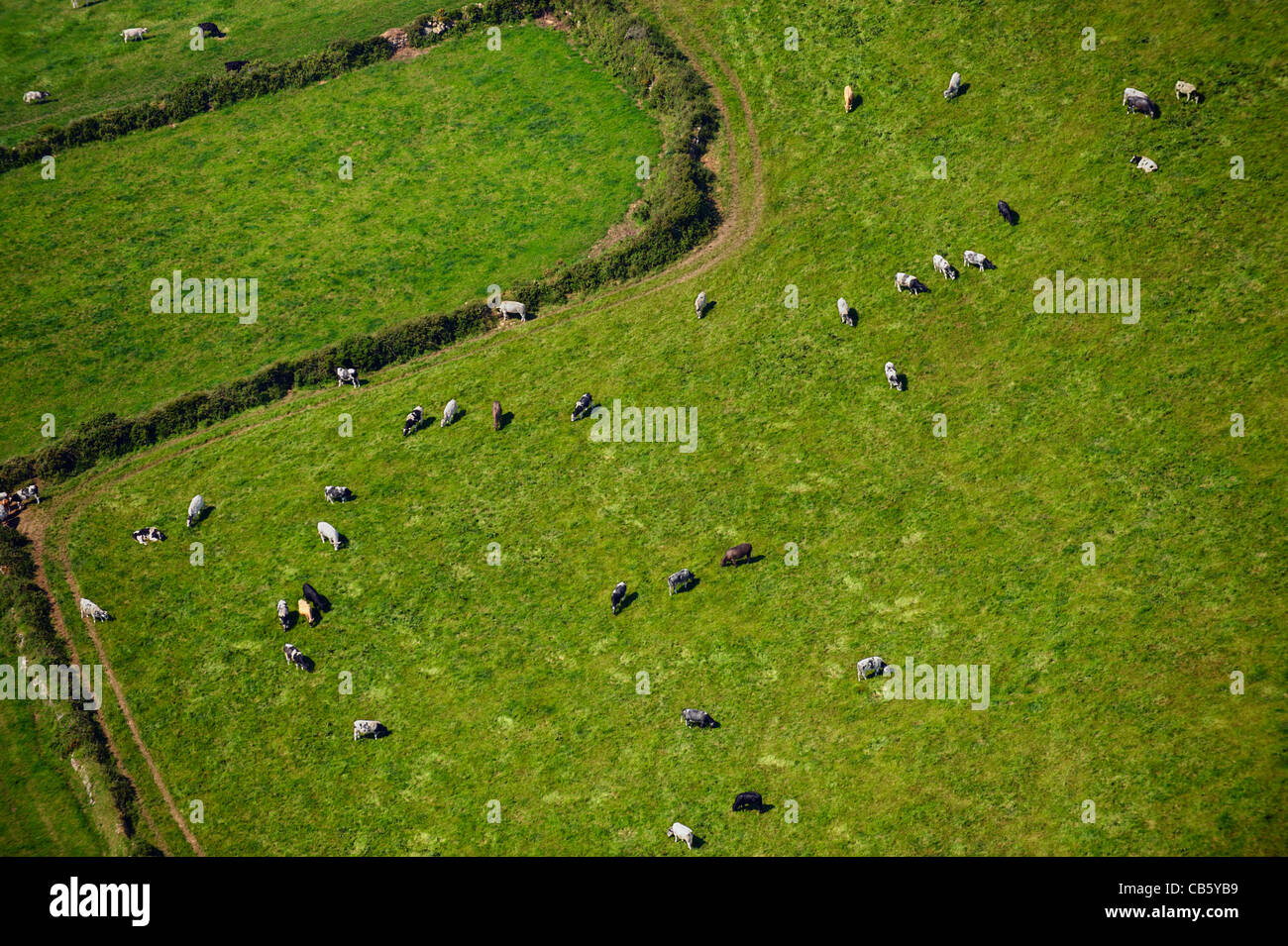 Agricoltura e agricoltura Foto Stock