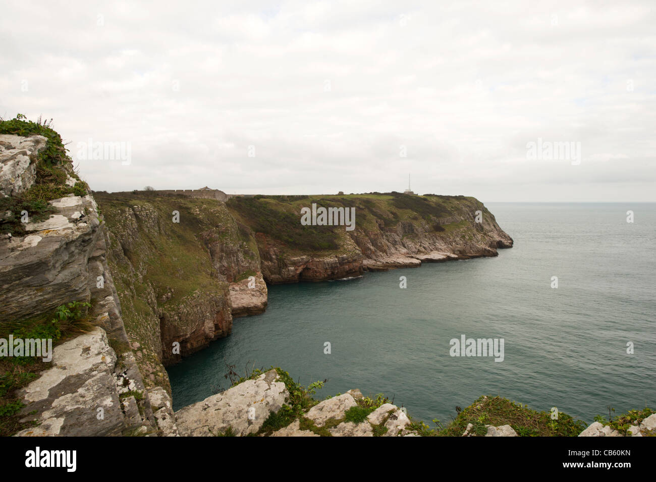 Berry Head, Nr. Brixham, Torbay, Devon, Regno Unito Foto Stock