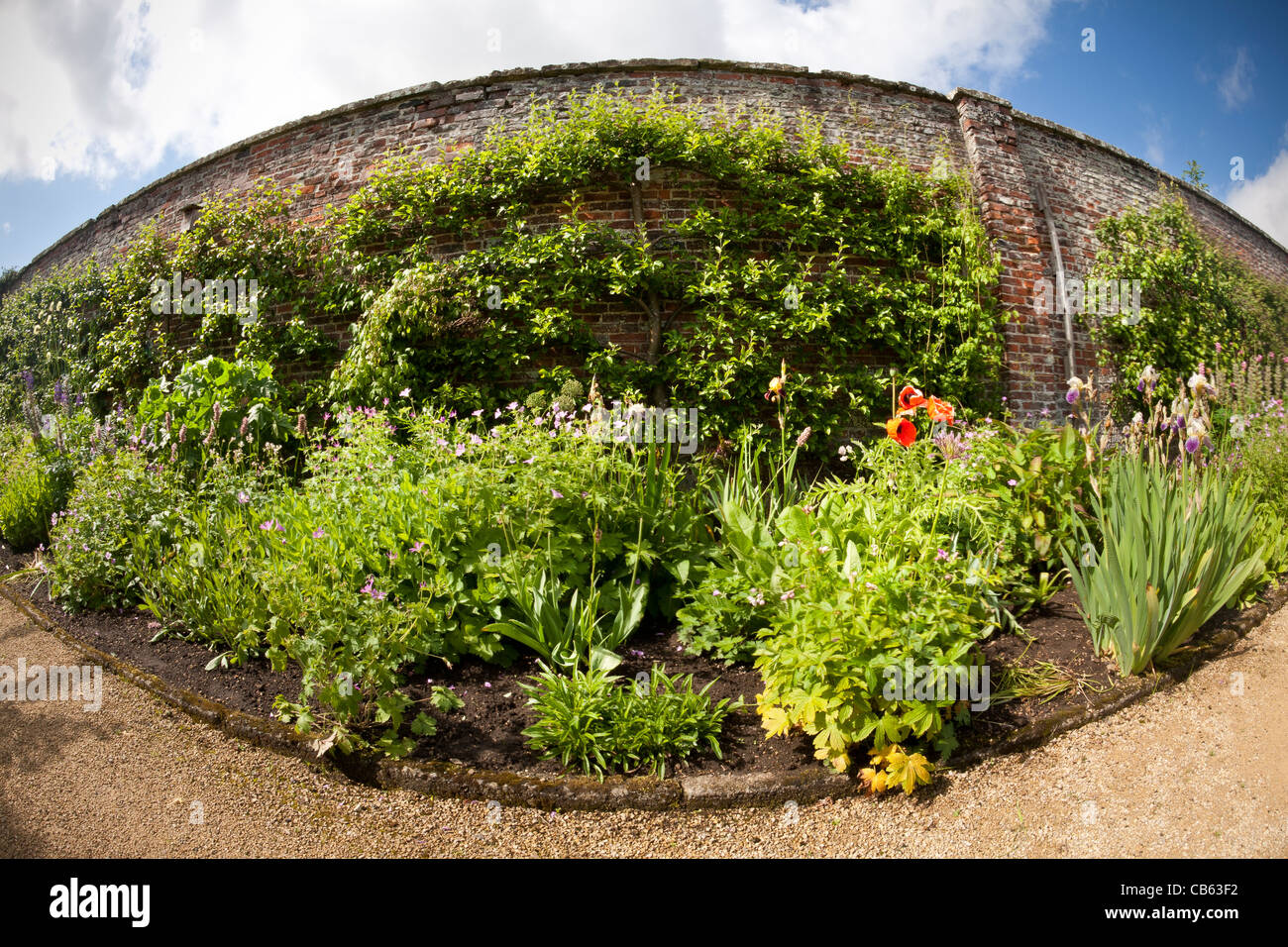 Un giardino murato nel Regno Unito prese con un pesce di lente oculare Foto Stock