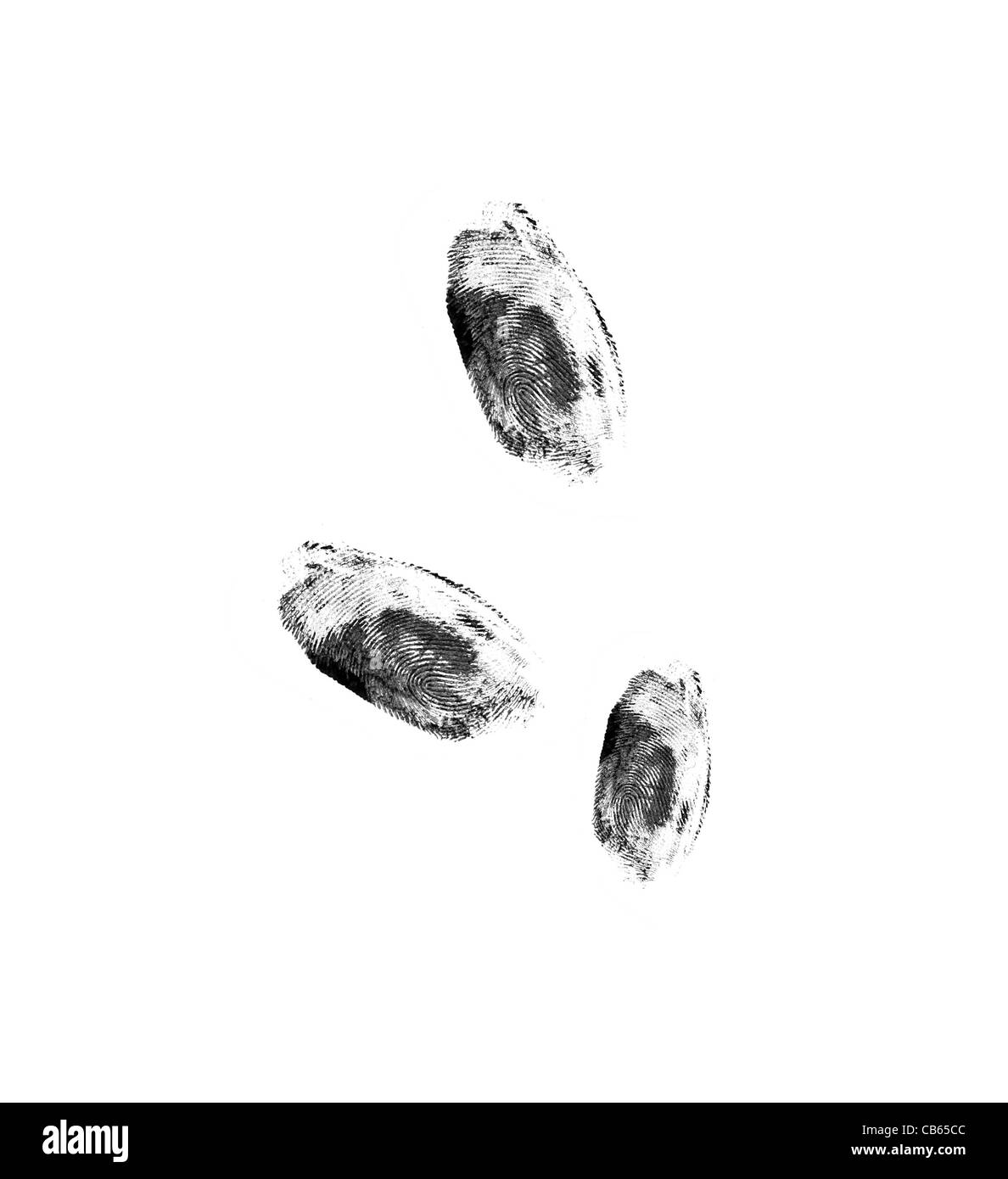 Impronte digitali Foto Stock