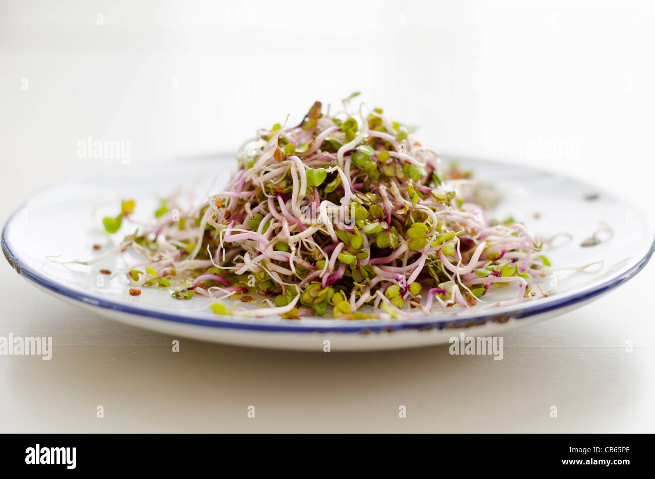 Semplice insalata realizzata in Cina è salito il Ravanello la germogliazione di semi, conditi con salsa di soia e aceto di riso. Foto Stock
