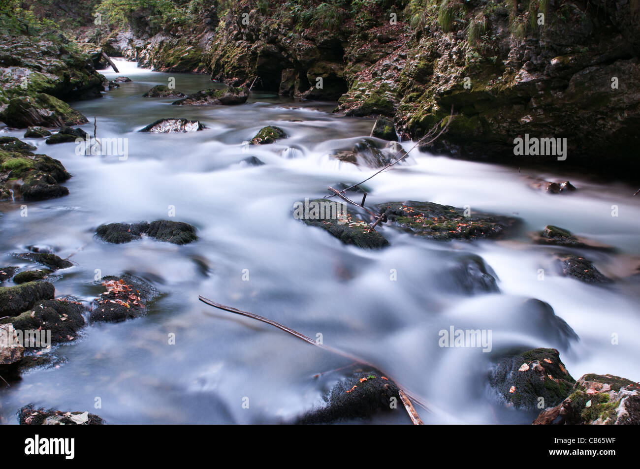 Flusso in Alpi Giulie Foto Stock