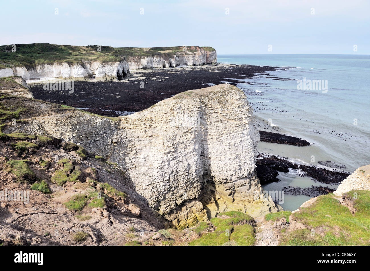 Nord su chalk cliffs costa del Mare del Nord di Flamborough Head, East Yorkshire, Inghilterra, Regno Unito. La bassa marea espone litorale alghe marine Foto Stock