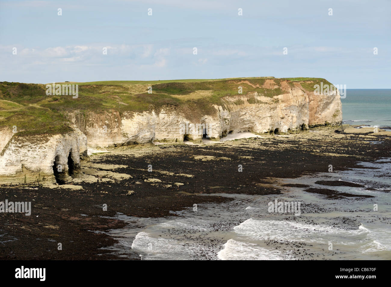 Nord su chalk cliffs costa del Mare del Nord di Flamborough Head, East Yorkshire, Inghilterra, Regno Unito. La bassa marea espone litorale alghe marine Foto Stock