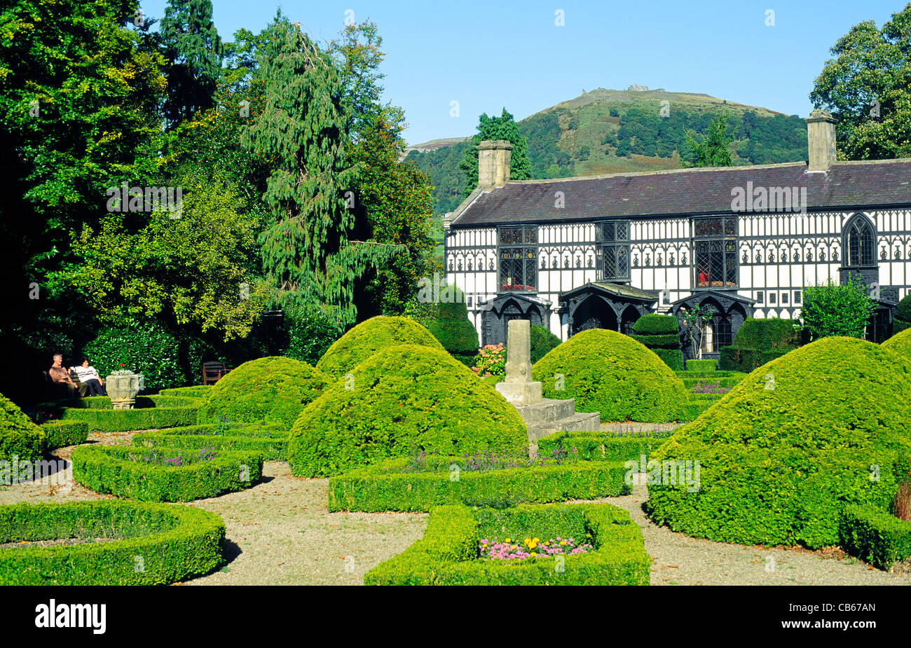 Plas Newydd casa nella città di Llangollen. Legno della XIX C. home delle due donne conosciute come le signore di Llangollen Foto Stock