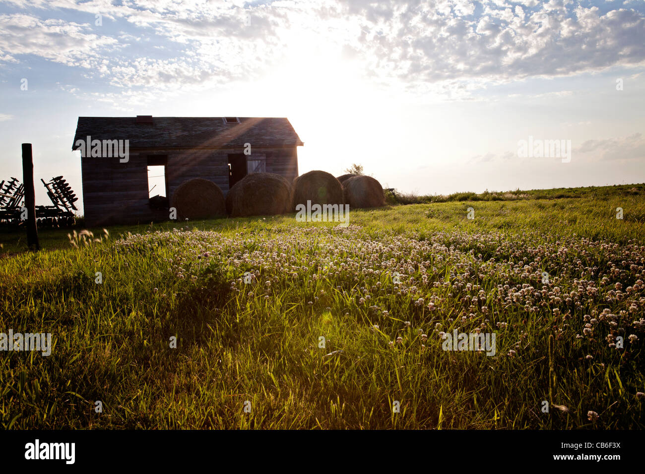 Il vecchio granaio di storage con disco di campo vicino campo di trifoglio in Iowa. Balle di fieno. Il tramonto. Foto Stock