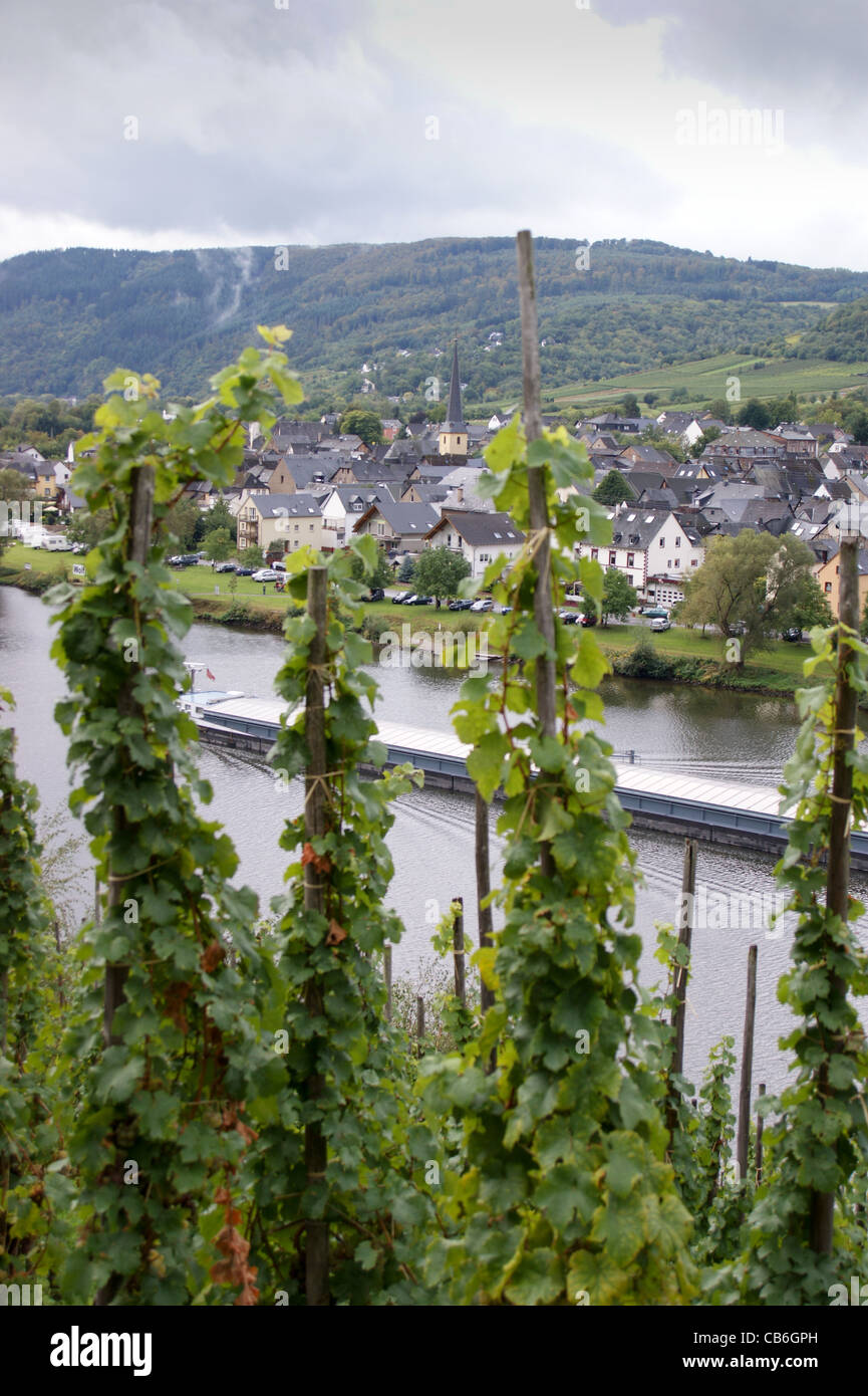 Il villaggio del vino di lupo visto dalla vigna terrazze sul fiume Mosella, Renania-Palatinato, Germania con un cargo sul fiume Foto Stock