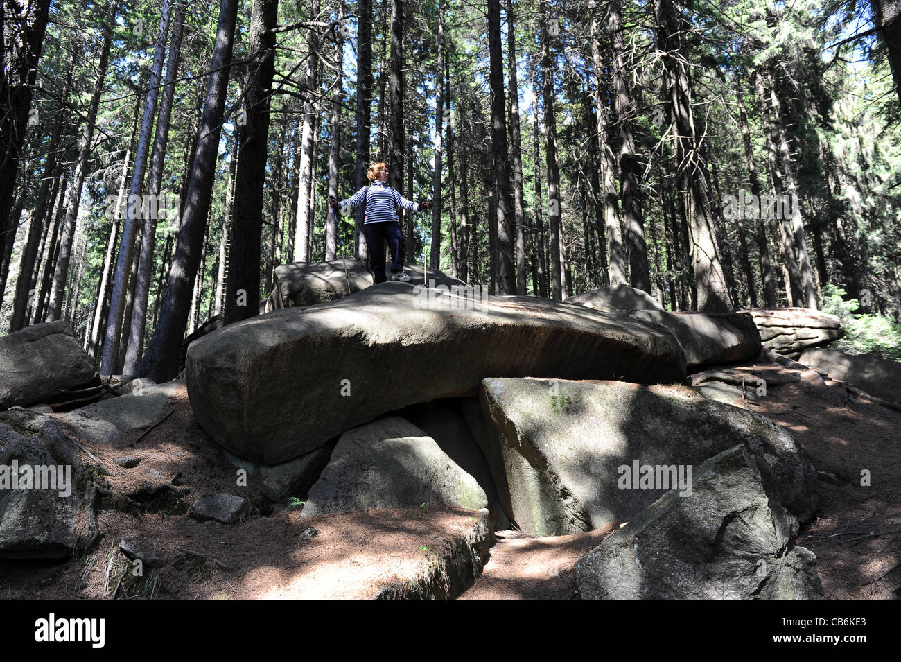 Donna in piedi su massi in Harz boschi di montagna Germania Foto Stock