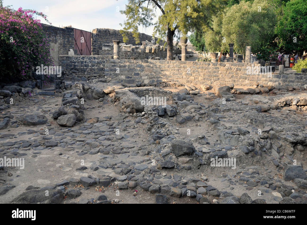 Cafarnao rovine,Galilea, Israele,Asia, Medio Oriente Foto Stock